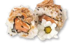 153 Star roll - 8 pezzi