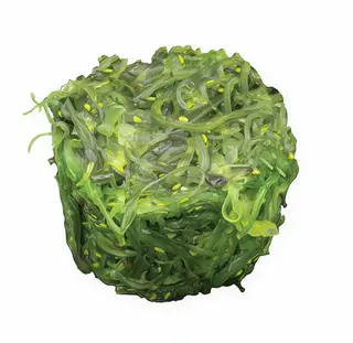 Alge seaweed