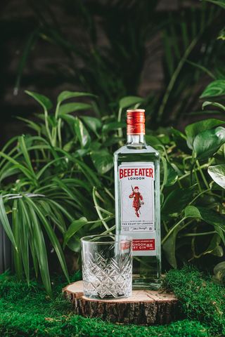 BEEFEATER  (50  мл.)