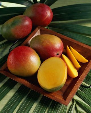 MANGO (buc)