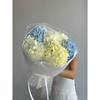  5 гортензий в упаковке