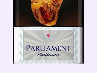 Parliament platinum