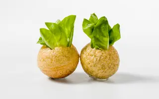 Pani Puri (2 Pzas.)