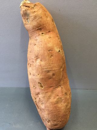 Сладък картоф