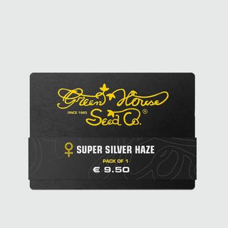 Super Silver Haze THC - 1 semente