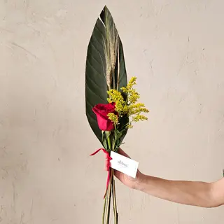 Rosa de Sant Jordi