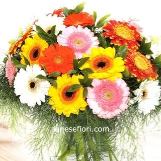 consegna Bouquet gerbere 15 gerbere colori assortiti