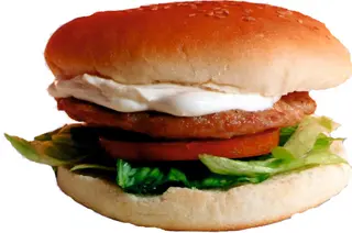 Chickenburger 