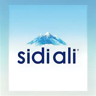 Eau Sidi Ali 50cl