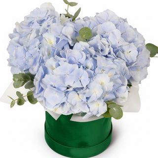 Композиція"Гортензія в блакитному"