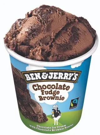 Chocolate Fudge Brownie