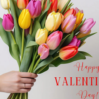 ფერადი ჰოლანდიური ტიტები (20 ცალი)