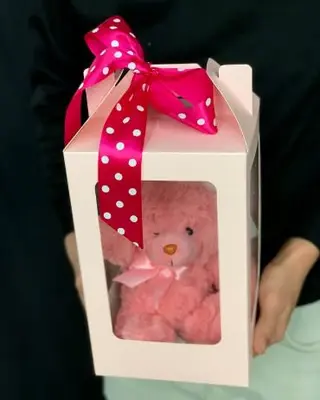 Special Teddy