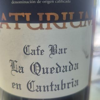 Vino Rioja Tempranillo