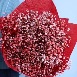 Bukiet czerwonej gipsówki (15 gałązek)