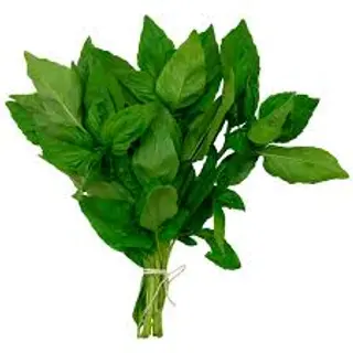 Albahaca Mjo.