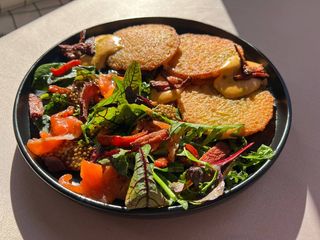 Деруни з соусом Чеддер, беконом і мікс салатом з лососем (350g)