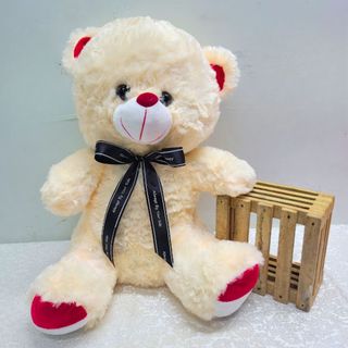 Cream Teddy Bear 50cm