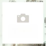 140. Пържен ориз с патешко (700г)