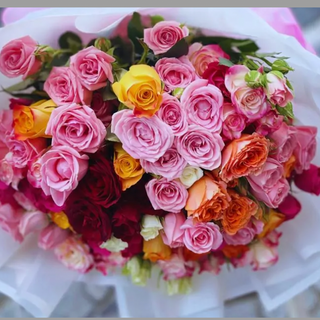 ჯუჯა ვარდები 20 ტოტი