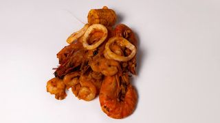 DIGESTIVE SHRIMP