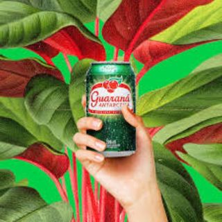 **"Guaraná - Refresca tu día con un sabor único"