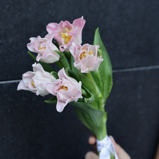 Ramo de 5 Tulipanes Crown Rosado