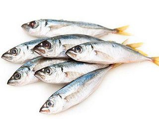 Ставридка (100g)