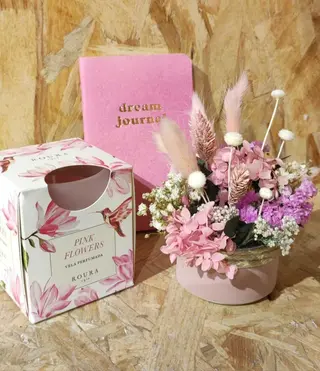 Dream journal 
