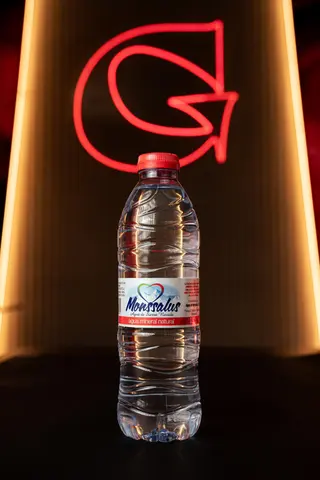 Agua (500 Ml.)