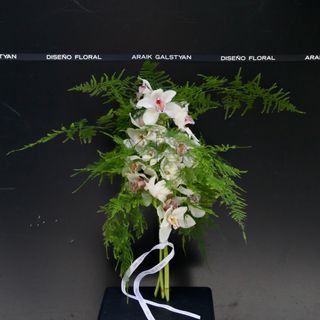 Cymbidium Blanco con Esparagus