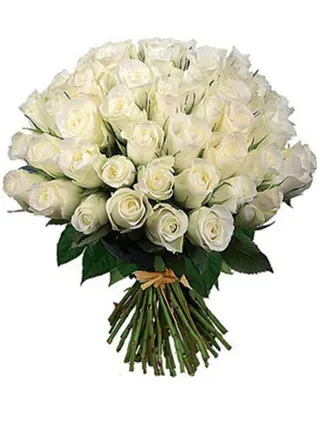mazzo di 101 rose bianchi