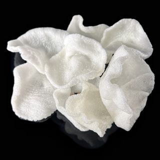 08. Nuvolette di drago