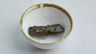 Dolma