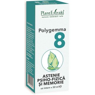 Polygemma nr. 8 - Astenie Psiho-Fizica si Memorie