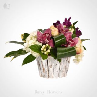 Înflorescența tropicală