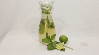 Лимонад Мохито, 1 л