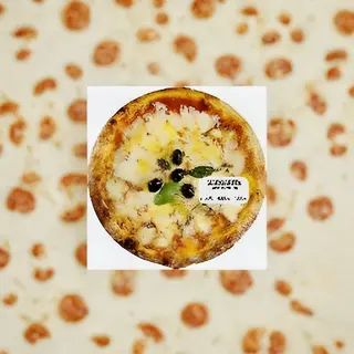 Pizza Margherita srednja