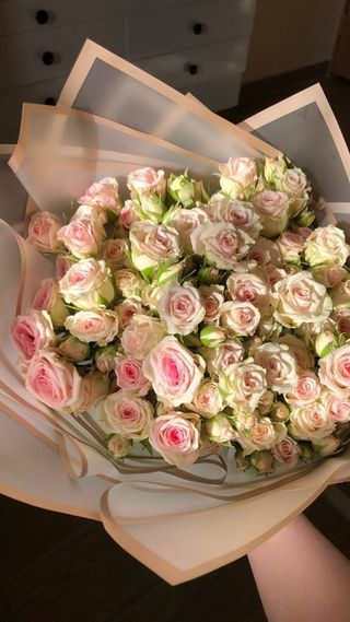 ვარდისფერი და კრემისფერი სფრეი ვარდები