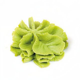 Wasabi
