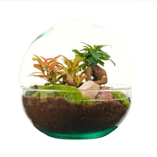 Terrarium Heart