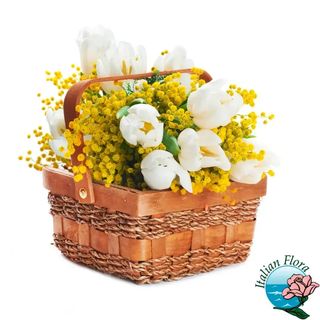 Cestino di tulipani bianchi e mimosa