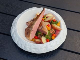 Соковите філе качки (390g)