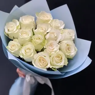 Serenada