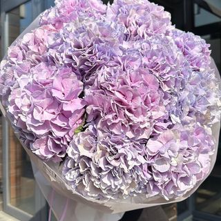 Лавандова хмара 