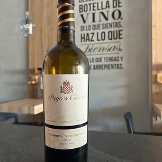 Pago de Cirsus vendimia saleccionada 