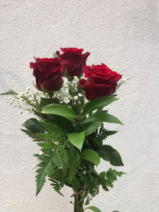 3 Rosas Rojas