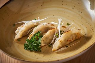 Gyosas de Frango com Legumes