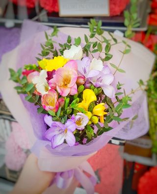 Buchet cu 15 frezii b71