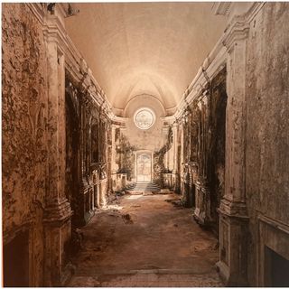 Moss & Faith: Stampa su dibond Carlo Arancio 30 x 30 cm